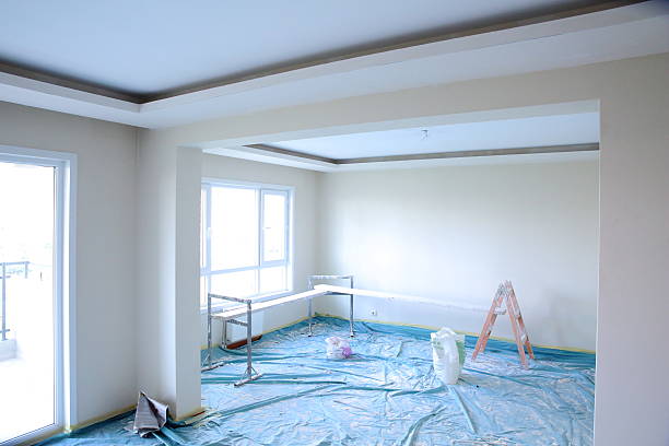 Best Ceiling Drywall Installation  in Oreana, IL